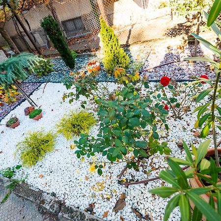 Devin Coworking & Coliving Apartment Ngoại thất bức ảnh